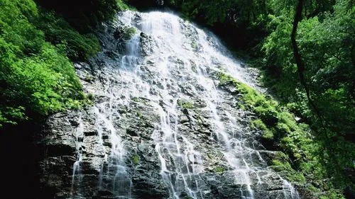 节能节能